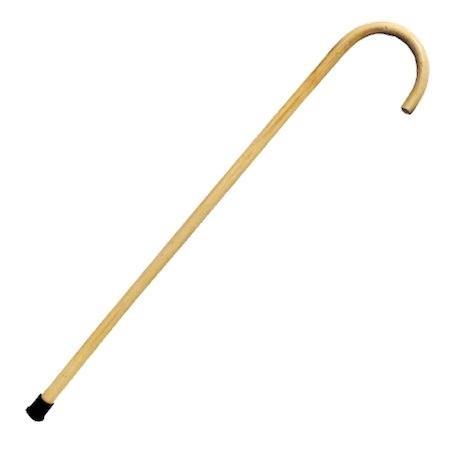 Cane - image 1 of 2